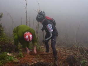 plant a tree vietnam