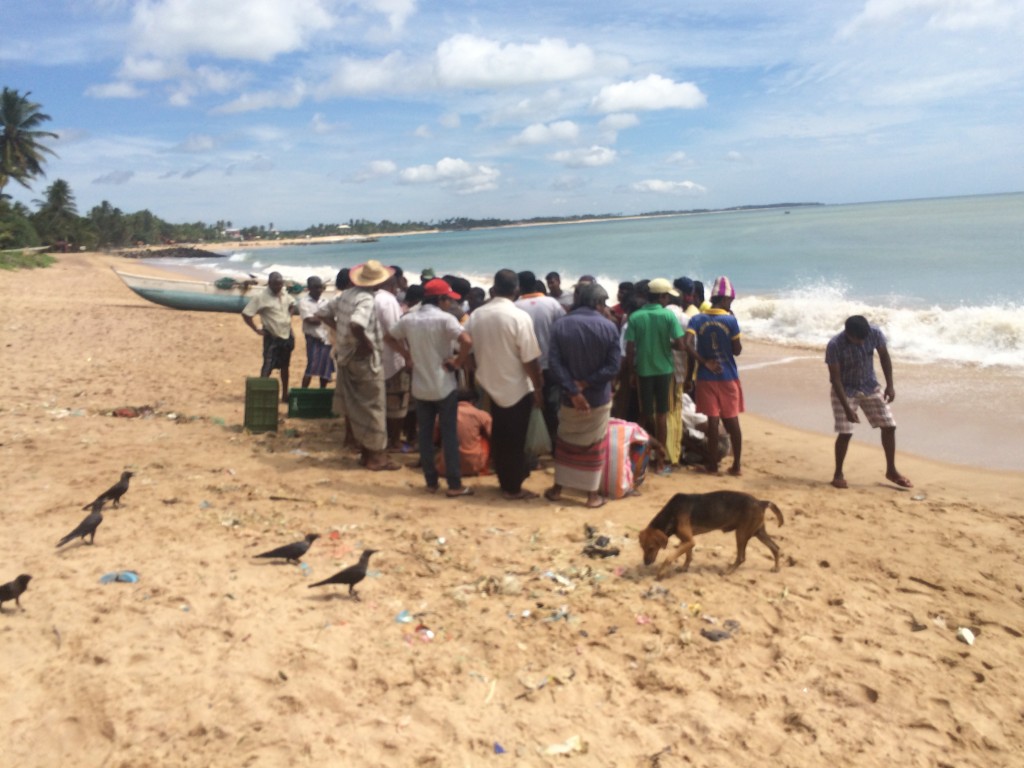 2014-11-28 Tangalle Beach 006